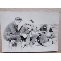 Фото в коллекцию