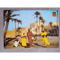 Этнография. Марокко. Традиционные музыканты