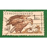 Чехословакия 1989. Орлан-белохвост с птенцами