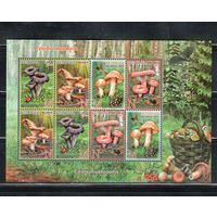 Беларусь-2013,(Мих.971-974)  **  , Грибы,м/л