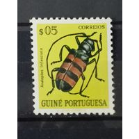 Португальская Гвинея насекомые