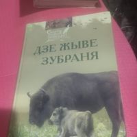 Скарбы роднай прыроды. Дзе жыве зубраня.