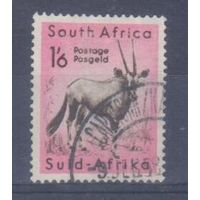 [1903] ЮАР 1954. Фауна.Антилопа. Гашеная марка.