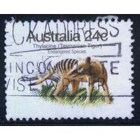 Австралия - 1981 [Mi. 755] Гашеная (AU18)