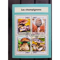 ЛИСТ ФЛОРА ЦВЕТЫ ГРИБЫ  СТО