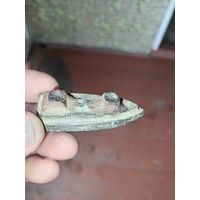 Коллекционные утюжок xIX века