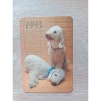 Календарик 1993