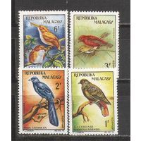 ФФ1 Малагаси 1963 Птицы