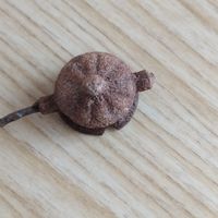 Старинная (оригинал) лампадка, найдена и нечищена, на реставрацию, с 5 byn...