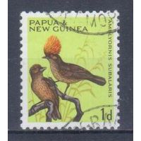 [1380] Папуа Новая Гвинея 1964. Фауна.Птицы. Гашеная марка.