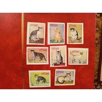 1979 Вьетнам Мих 1063u-1070u полная серия без зубцов редкая фауна кошки (3-9)