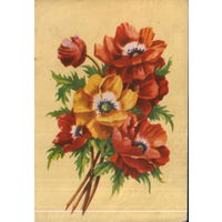 Подписанная открытка 1960-ые гг. БССР "Маки" худ. В. Зеленов (син.)