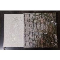 ПОДАРОЧНЫЙ ФОТОАЛЬБОМ "ЗЕМЛЯ СИЛЫ", ПОСВЯЩЕННЫЙ 600-ЛЕТИЮ БЕЛОВЕЖСКОЙ ПУЩИ В ПОДАРОЧНОМ ФУТЛЯРЕ, 2009г.