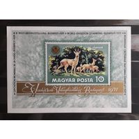 Венгрия 1971г. Блок. Всемирная выставка охоты. **