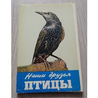 Наши друзья птицы. Выпуск второй. 17 из 18 открыток. Издательство "Правда". 1978.