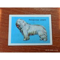 Спичечная этикетка Южнорусская овчарка