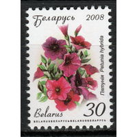 Беларусь 2008 Петуния 12 стандарт мел