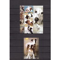Гана 2007 Фауна домашние собаки - 1 лист + 1 блок MNH**