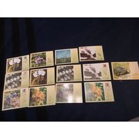 Открытки новые одним лотом