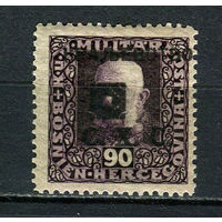 Государство словенцев, хорватов и сербов (Босния и Герцеговина) - 1919 - Надпечаткой КРАЛЕВСТВО С.Х.С. на 90H - [Mi.45A] - 1 марка. MH.  (Лот 10JB)-TG3P56