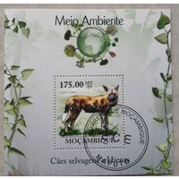 ФАУНА животные млекопитающие   БЛОК сто