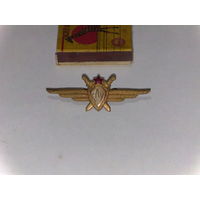 Знак классность ВВС СССР (переделка).