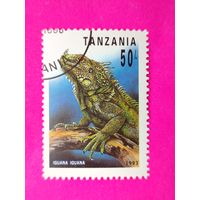 Танзания. Ящерица. ( 1 марка ) 1993 года. 4-10.