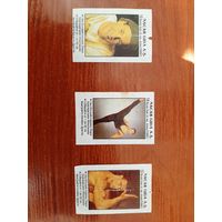 Вкладыши от жвачки Nacar Gida 3 шт. Цена 1 шт. 6 р., за всё 15 р. В коллекцию.