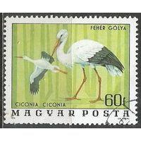 Венгрия. Национальный парк. Белый аист. 1977г. Mi#3172.