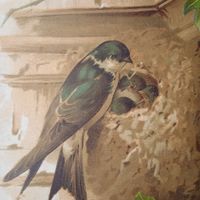 ВЪ РОДНОЙ СЕМЬЪ .   22х16см.   хромогравюра 19 в. Спб.  РАСПРОДАЖА КОЛЛЕКЦИИ.