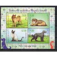 Киргизия 2015. Фауна. Собаки, кошки блок (526)