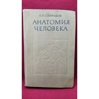 А.И. Свиридов  Анатомия человека