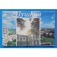 Пушкин (брошюра). Л. Бардовская