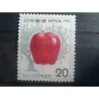 Япония, 1975. 100 лет выращивания яблок в Японии