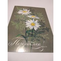 Открытка 1989г. Чистая. Художник И. Можаева.