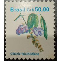 Бразилия. Флора. Clitoria Fairchildiana