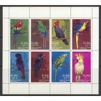 Оман. 1969. Фауна. Птицы. Попугаи MNH