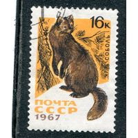 СССР 1967.. Пушные звери. Соболь