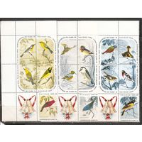 ФФ1 Куба 1965 Птицы