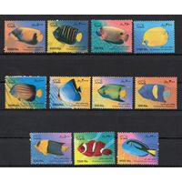 Иран 2009. Стандарт Рыбы 11 марок (3129-39)