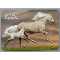 Лошади. Календарик, глянец, 2026. Траско
