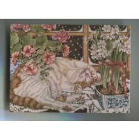 Открытка. С праздником! Фауна. Животные. Кот. Котик. Комнатные Цветы. Лук. Рассада. (чистая)