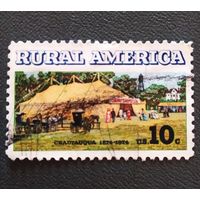 Марка США 1974 год Сельская Америка