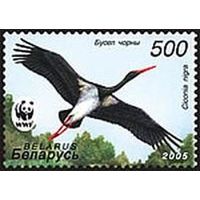 Марки "Черный аист летящий", "Черный аист на воде", "Черный аист в гнезде", "Черный аист - птенцы"