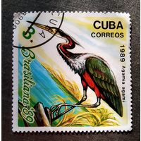 Марка Куба 1989 год Птицы