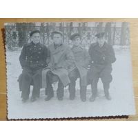 Фото в коллекцию