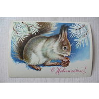 Достян Р., С Новым годом! 1980, 1981, чистая, ДМПК, АВИА (белка).