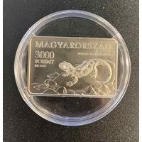 Венгрия 3000 форинтов 2025 г Национальный Парк Аггтелек Ящерица