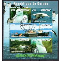 Защита морских обитателей Гвинея 1998 год 1 малый лист