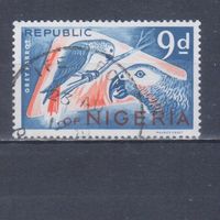 [283] Нигерия 1965. Фауна.Птицы.Попугай. Гашеная марка.